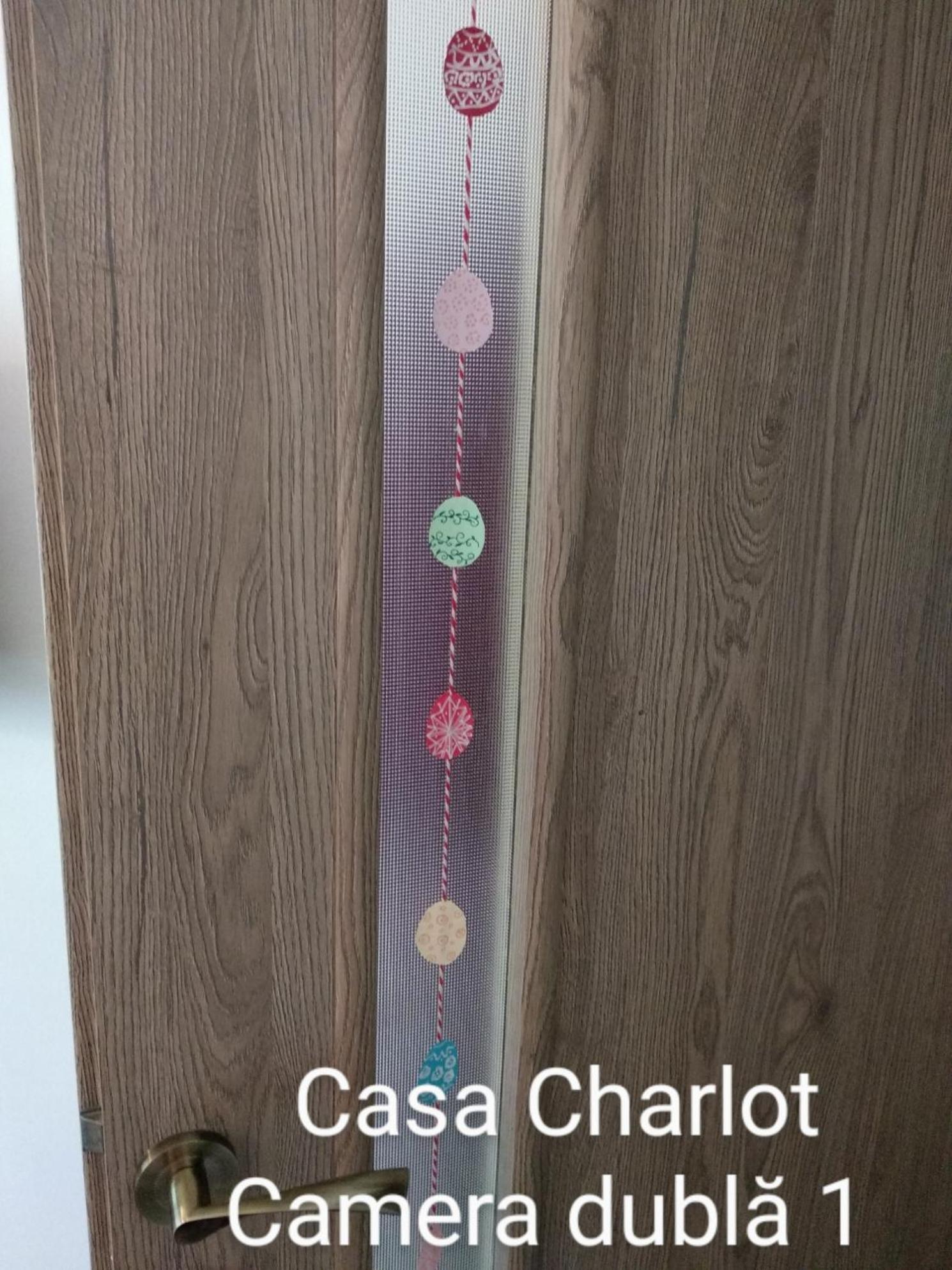 Apartamento Casa Charlot Braşov Exterior foto